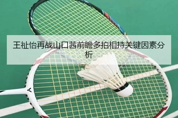王祉怡再战山口茜前瞻多拍相持关键因素分析 - worldcup